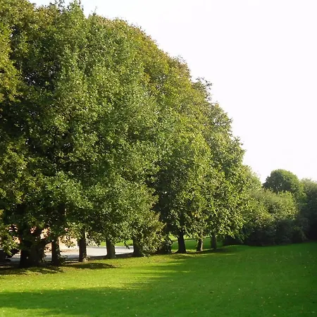 Hellesvang *