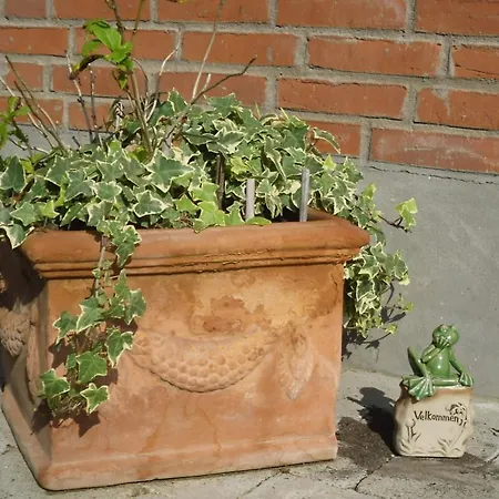 Hellesvang * Guderup