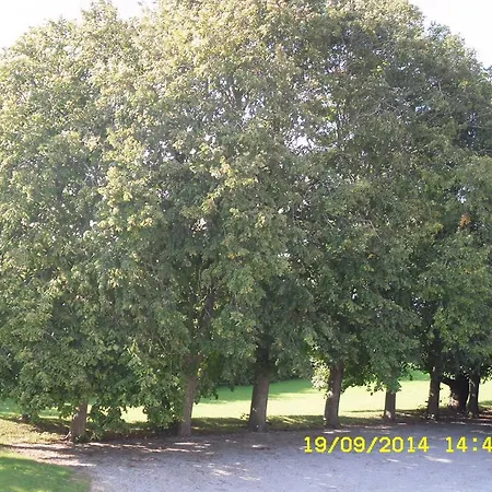 Apartment Hellesvang